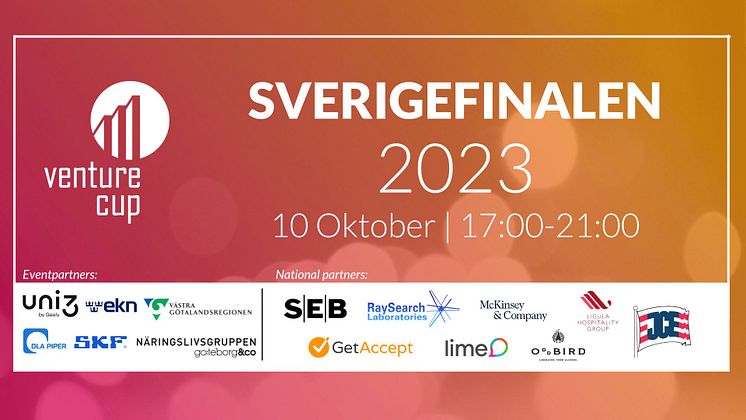 SVE-Sverigefinal-Banner