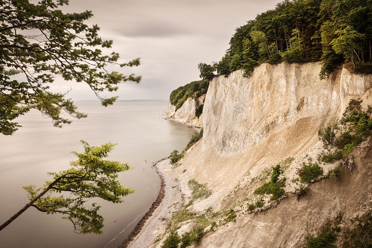 Sassnitz: UNESCO Welterbe Alte Buchenwälder Deutschlands, Jasmund Nationalpark, Kreidefelsen auf der Insel Rügen