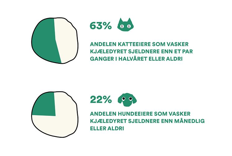 Musti_rapport_kattevask_grafikk_2.jpg
