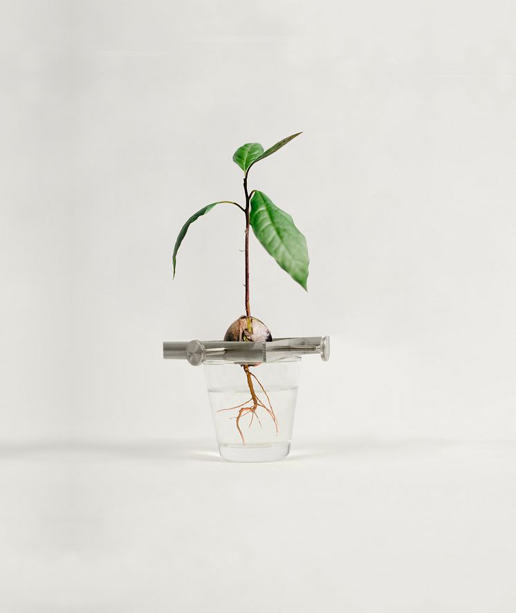 Regrow – design Madeleine Nelson