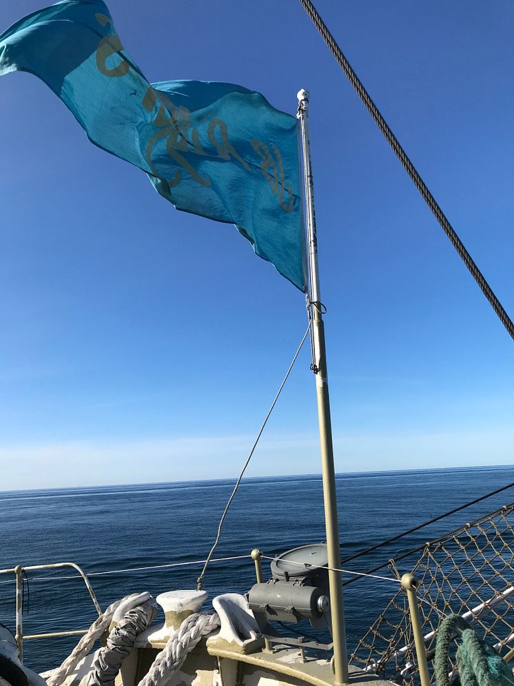 Barken Viking på öppet hav - 2