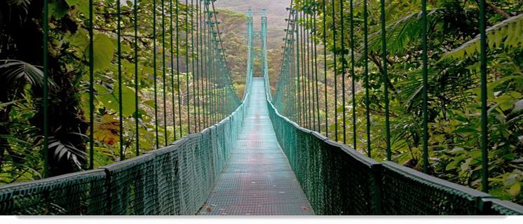Hanging Bridge molnskogen Costa Rica
