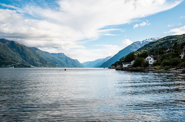 Fra 19. juni kan du bli med på fjorcruise på Sørfjorden i Hardanger