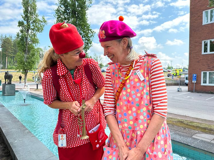 Clownkåren i Dalarna