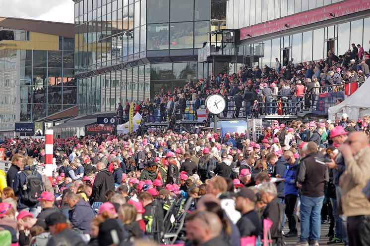 Publikplats Elitloppet