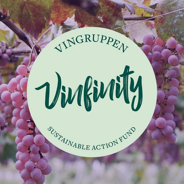 Vinfinty2