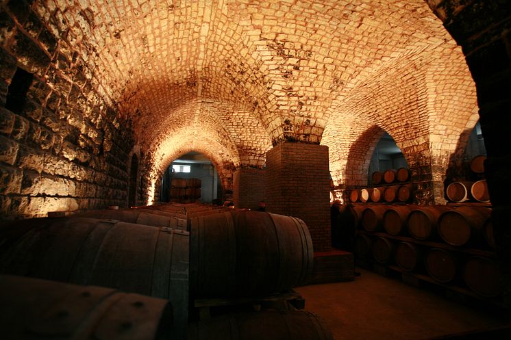 Chateau Musar cellar