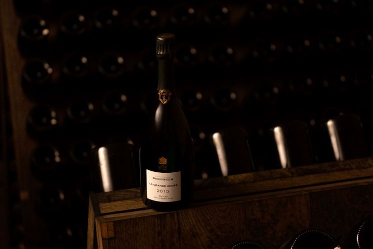 BOLLINGER_LGA 2015_CELLAR.jpg