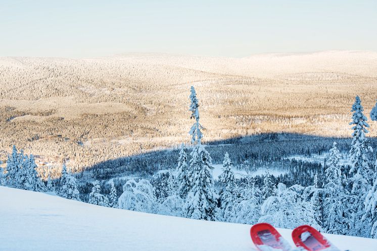 Stöten i Sälen genvägen