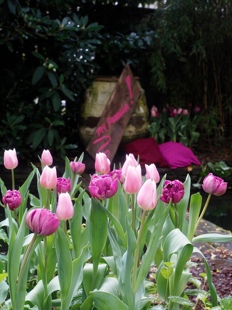 Ljuvligt blomsterhav i rosa och purpur