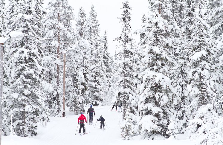 Hemsedal får kunstsnø i langrennsløypene