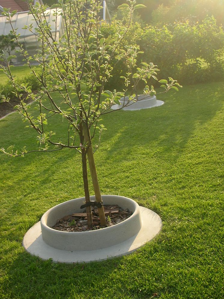 Planting ring made of concrete