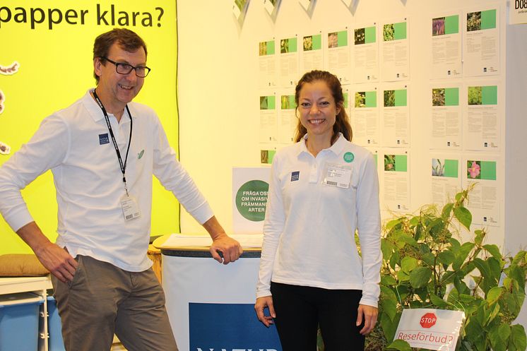 Ulf Larsson, biologist, and Anna Håkansson, lawyer, both from the Swedish Environmental Protection Agency, were busy answering questions at Elmia Garden about invasive plants and how to deal with banned plants.