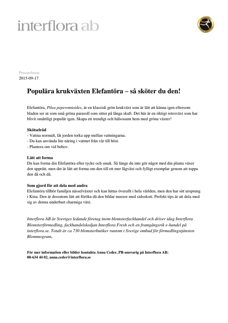 Populära krukväxten Elefantöra – så sköter du den!