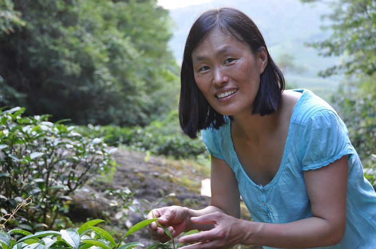 Amanda på teplantage i Wuyishan