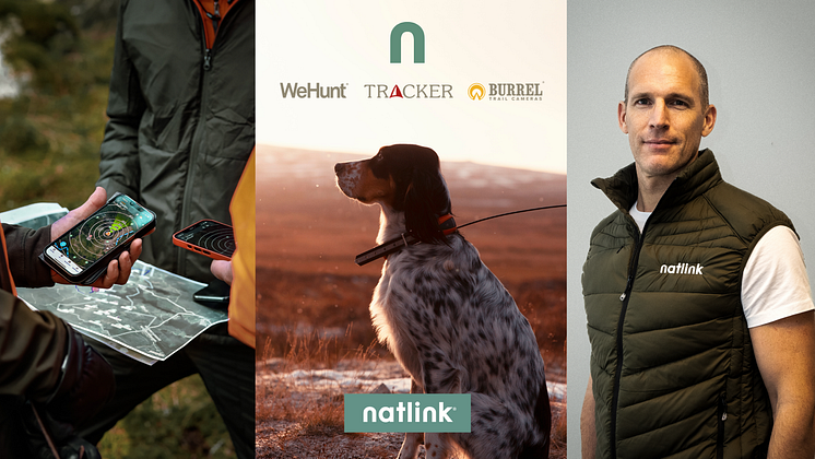 Natlink_Launch