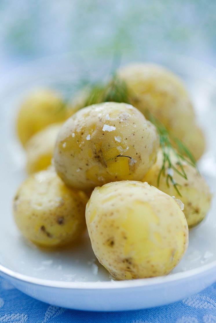 Färskpotatis 