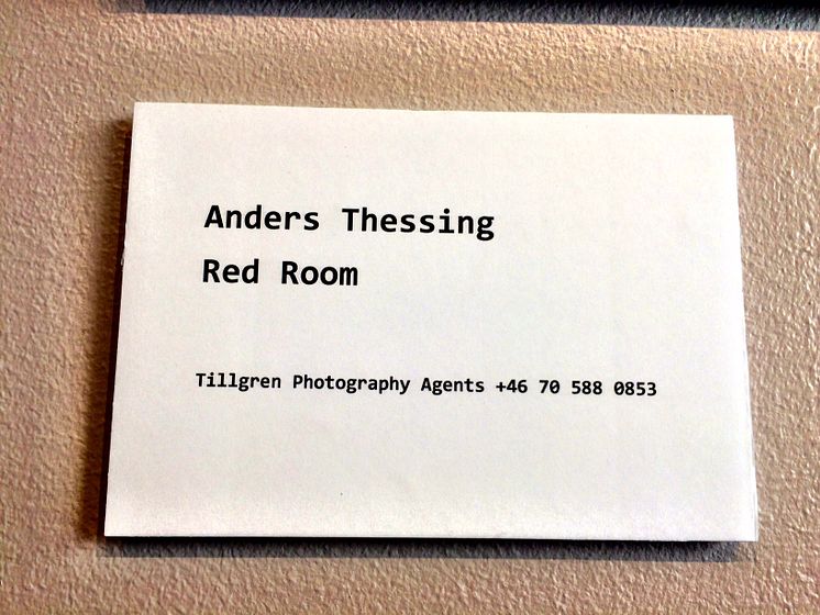 Bildtext till verket Red Room av Anders Thessing