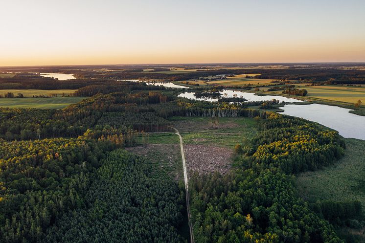 Sjö och natur.jpg