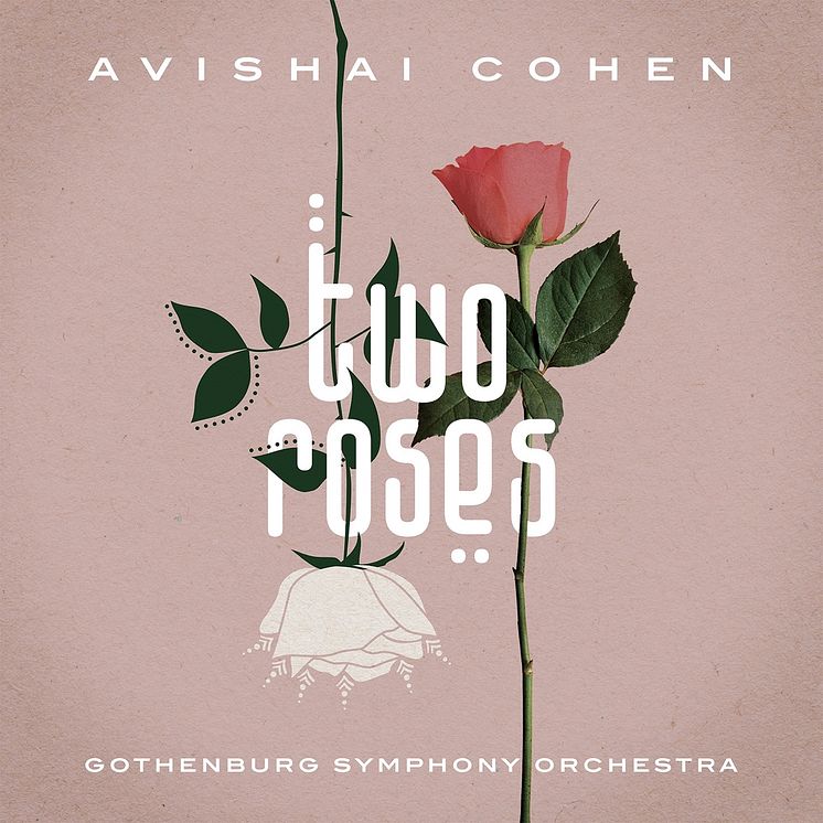Avishai Cohen Two Roses cover