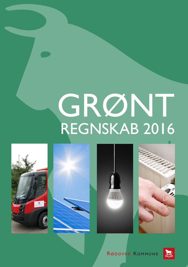 Grønt regnskab