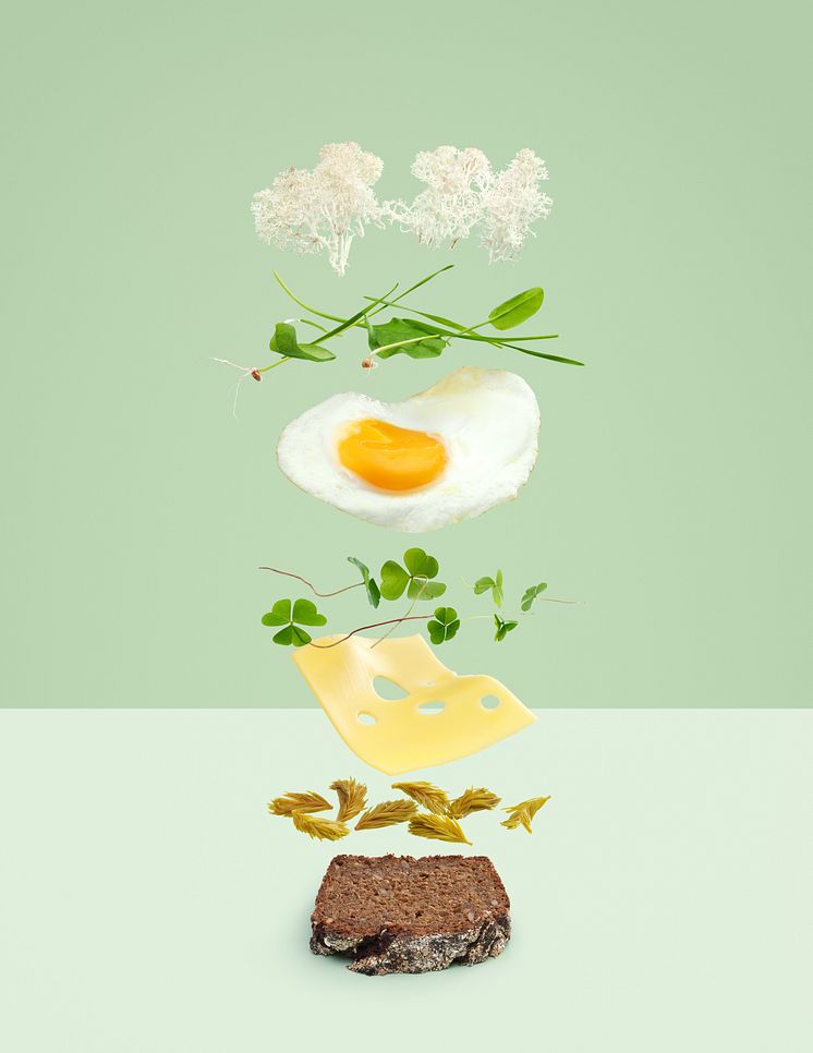 Mossmacka - Carl Kleiner