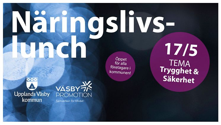 naringslivslunch 17 maj bild