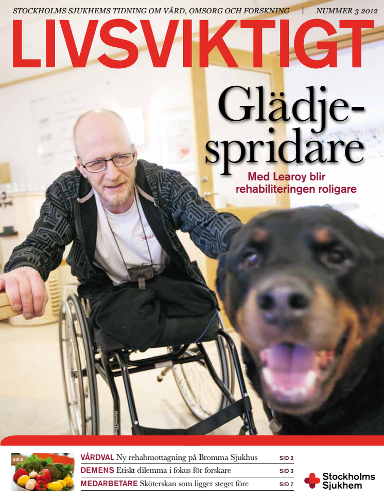 Tidningen Livsviktigt, nummer 3 2012