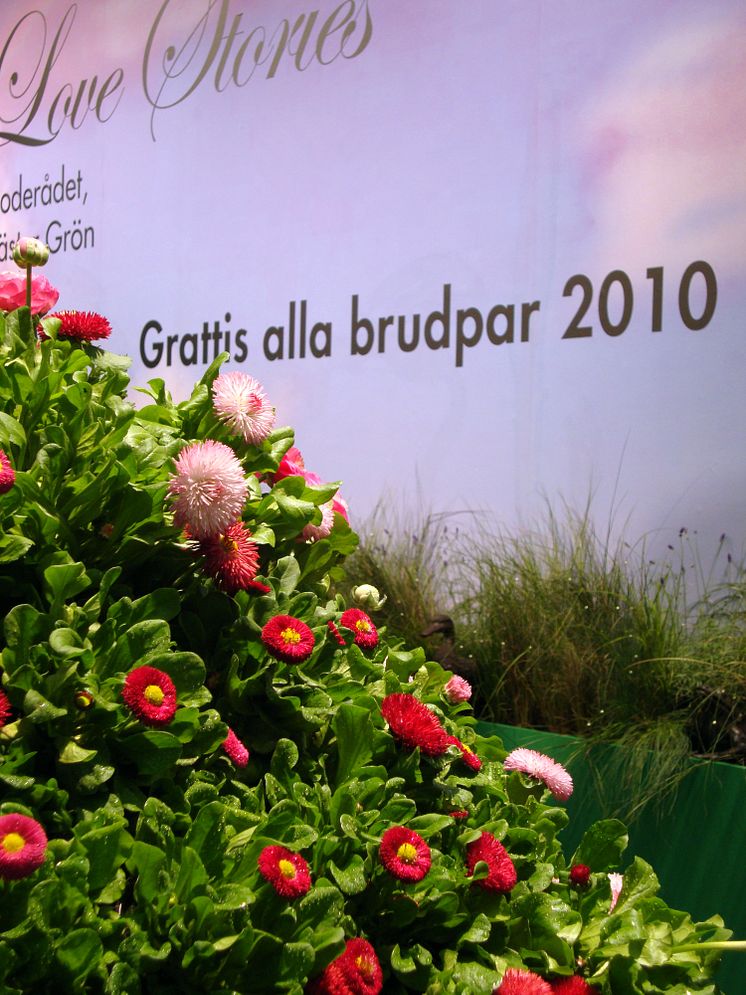 Sweet Love Stories - en hyllning till alla bröllopspar