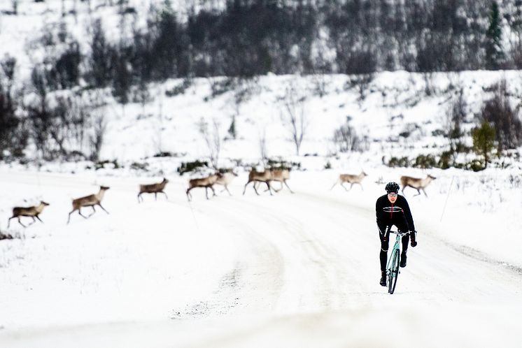 Foto: Jered Gruber