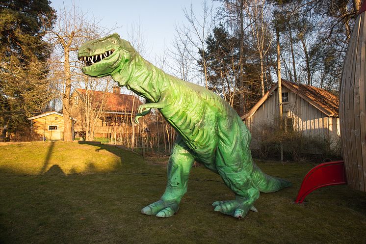 trex-i-trädgård.jpg