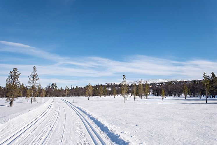 Grovelsjon_cross-countrytracks_fotoAnnaHolm_Visitdalarna.jpg