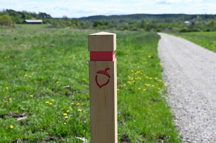 Stolpe med markering längs Majorebergsleden