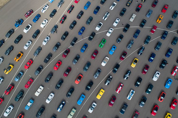 Mustang verdens største parade Lommel Belgia 2019