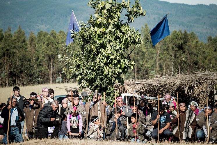 Vino Tayu Ceremonia Mapuche 08.jpg
