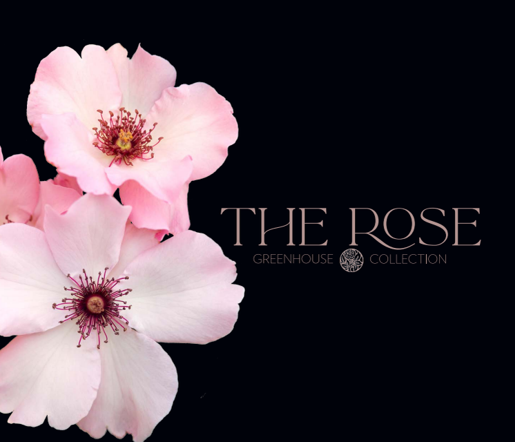 the Rose greenhouse Collection_low_210212.pdf