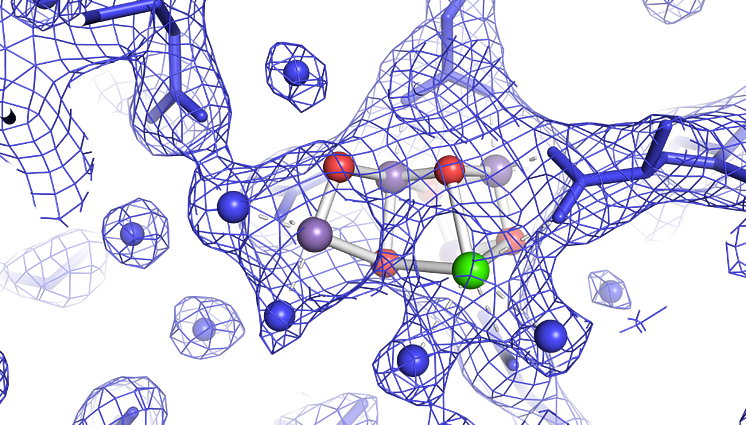 Watching how plants make oxygen