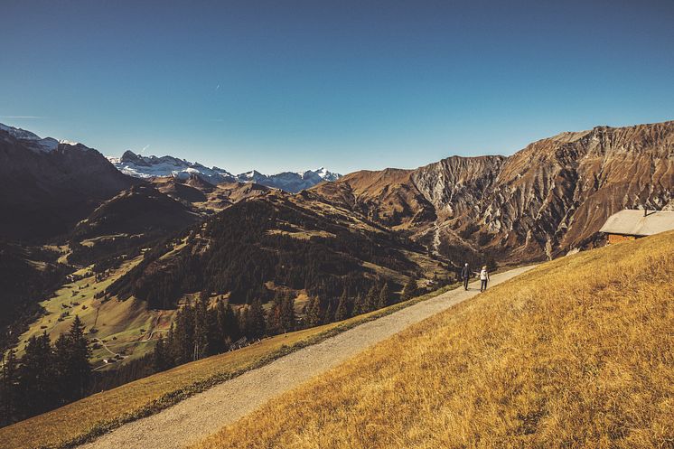 Berner Oberland: Wandern Tschentenalp