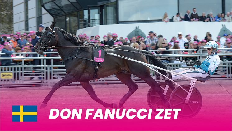 Don Fanucci Zet_1920x1080.jpg