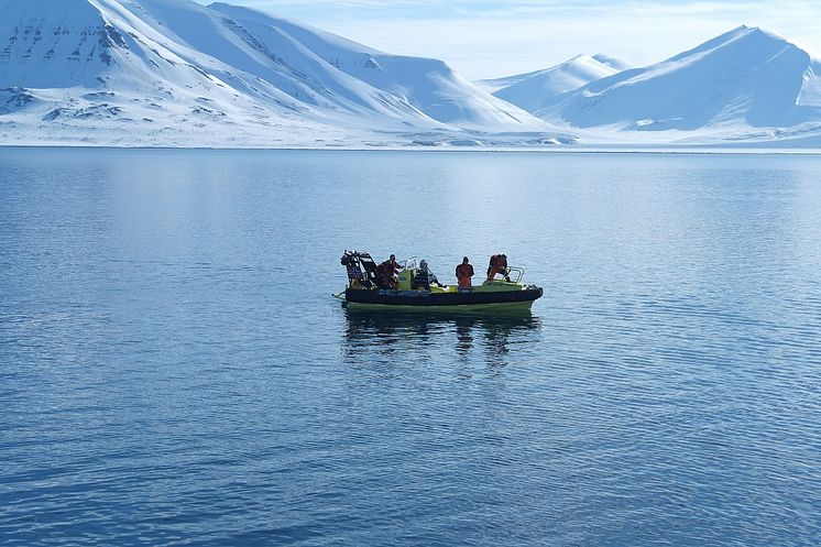 FAABulous cruise at Svalbard -light measurement