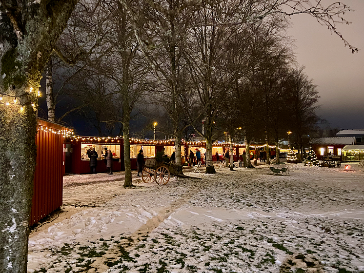 Christimas lights in Alingsås 3 Julmarknad på Nolbygård_foto_Gro Hansen Johnsson.png