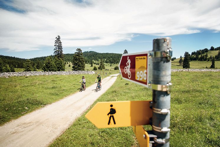 Kulinarische Radtour am Jurafuss 