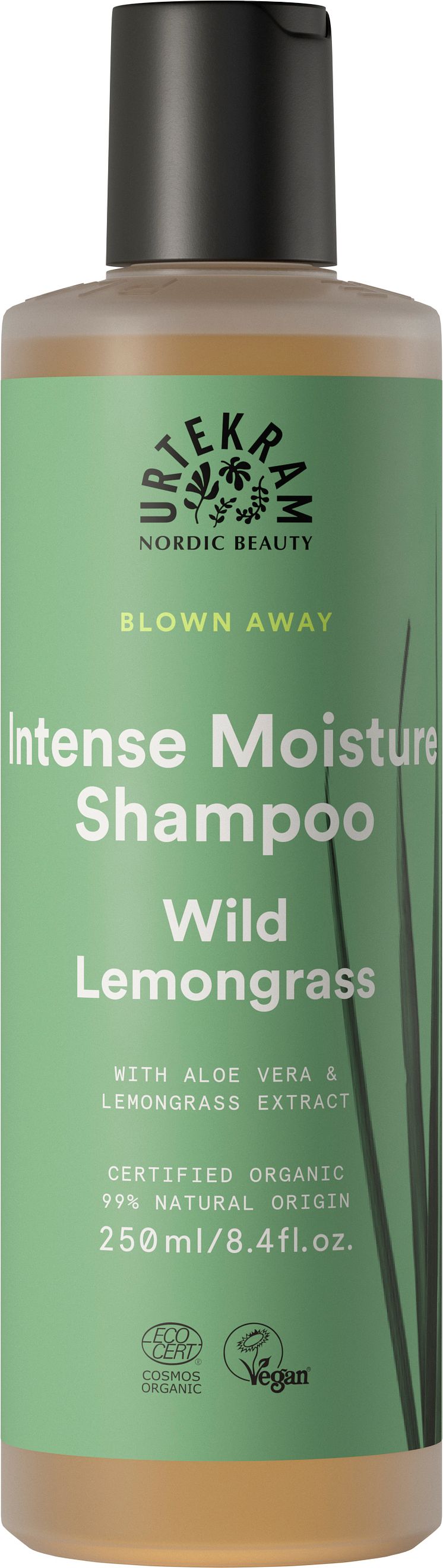 BLOWN AWAY Shampoo