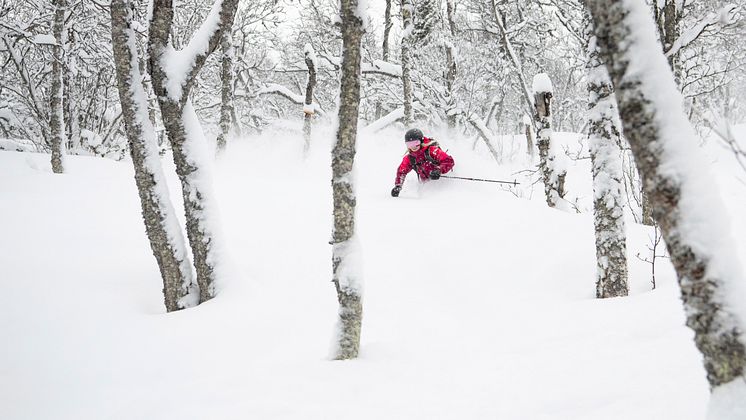 Pudder i Hemsedal