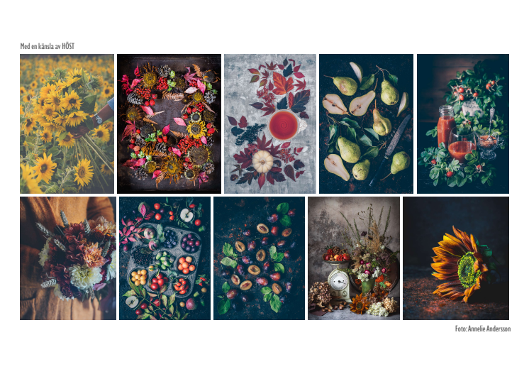 Fotokollage årstidsbilder ur boken Blomster & Bakverk
