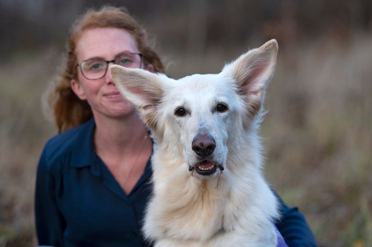 Dis är Årets sociala tjänstehund 2019