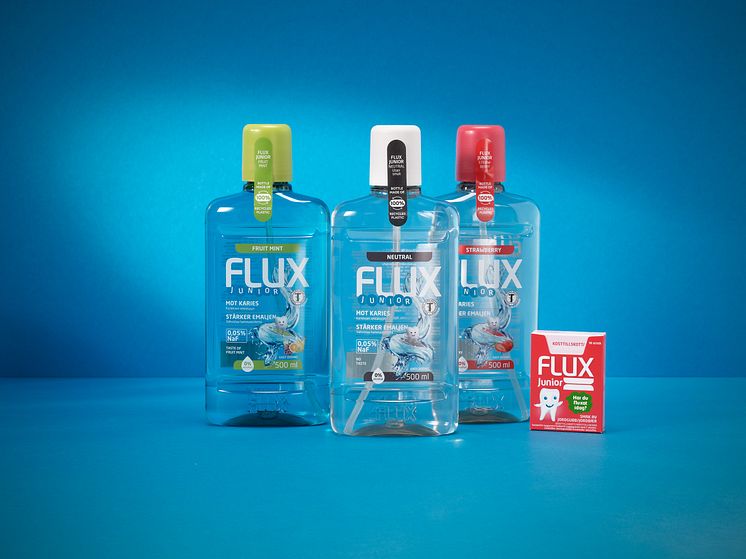 Flux Junior gruppbild.jpg