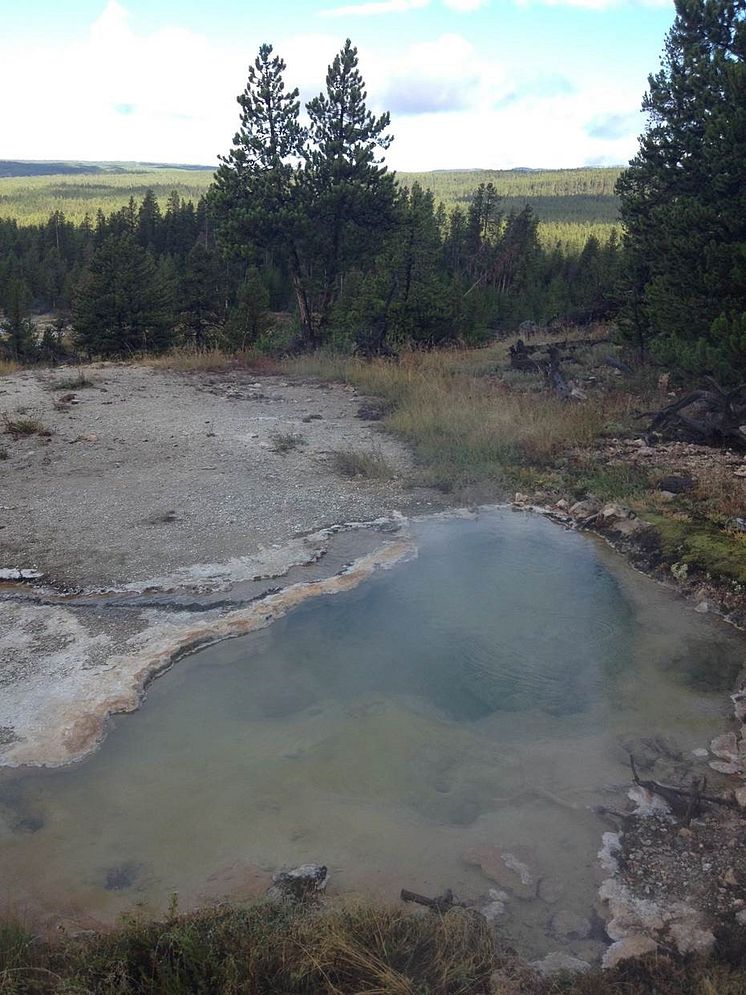 Yellowstone hot spring 