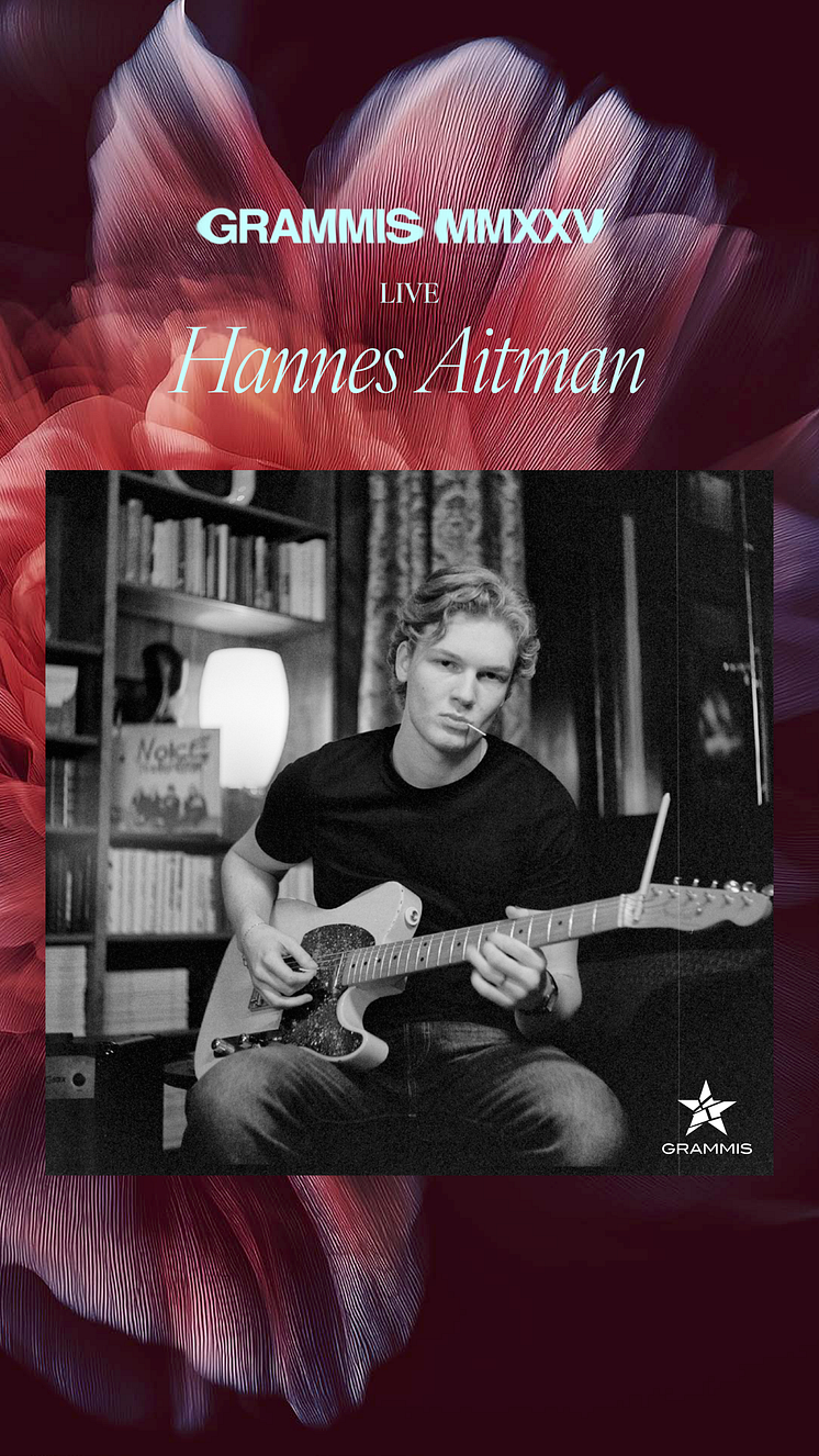 Hannes Aitman story[1].png