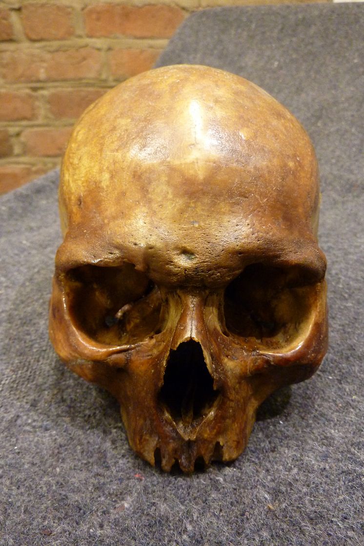 Saint Erik's scull